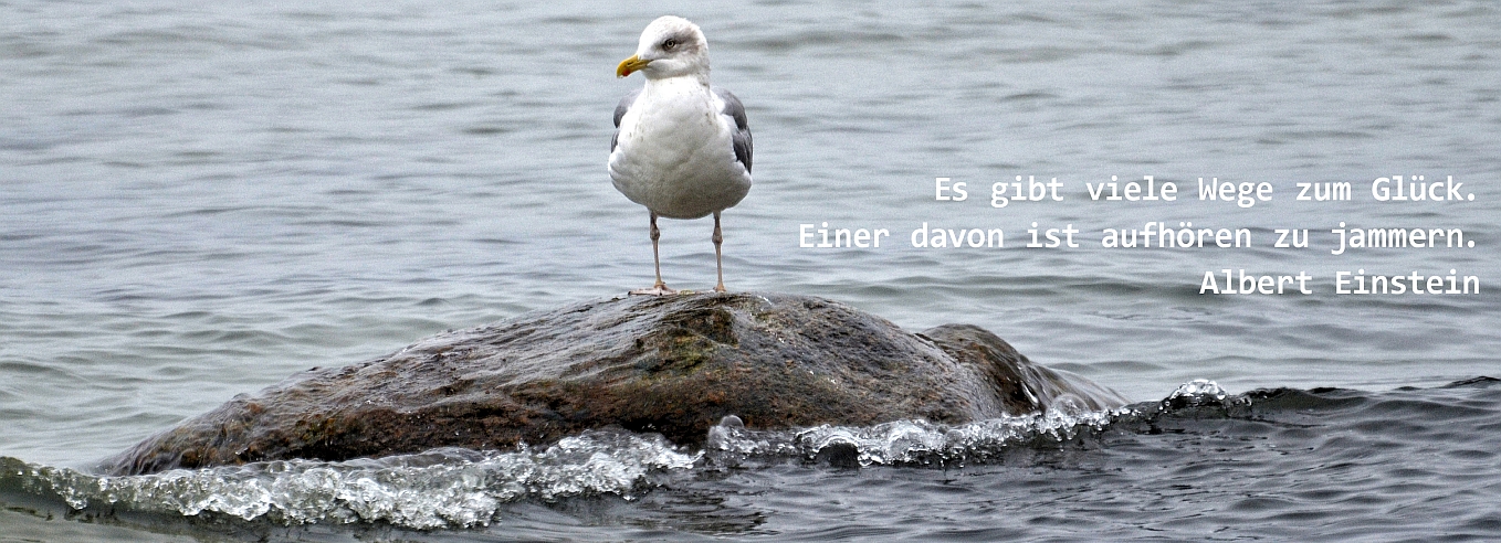 Adventskalender 24.12.